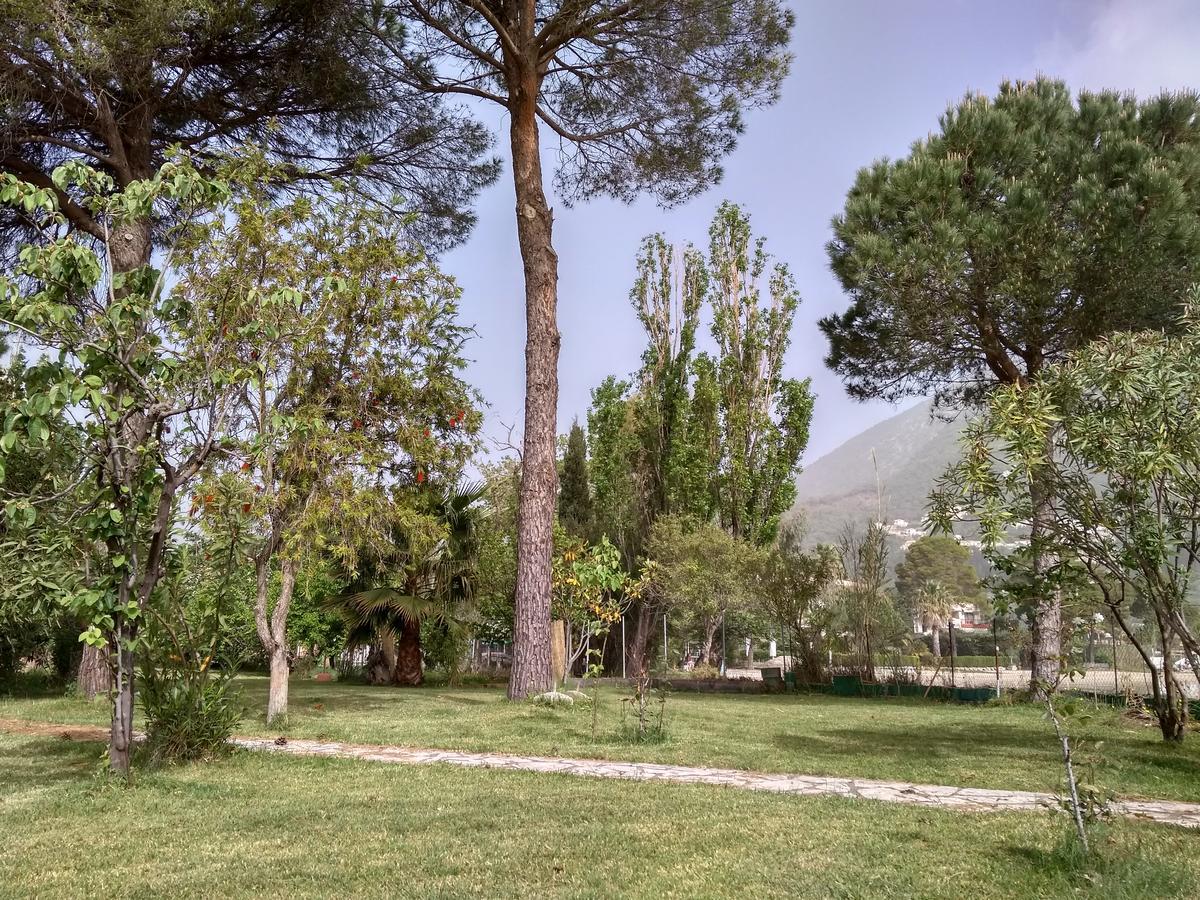 Palmyra Beachfront Nydri (Lefkada)