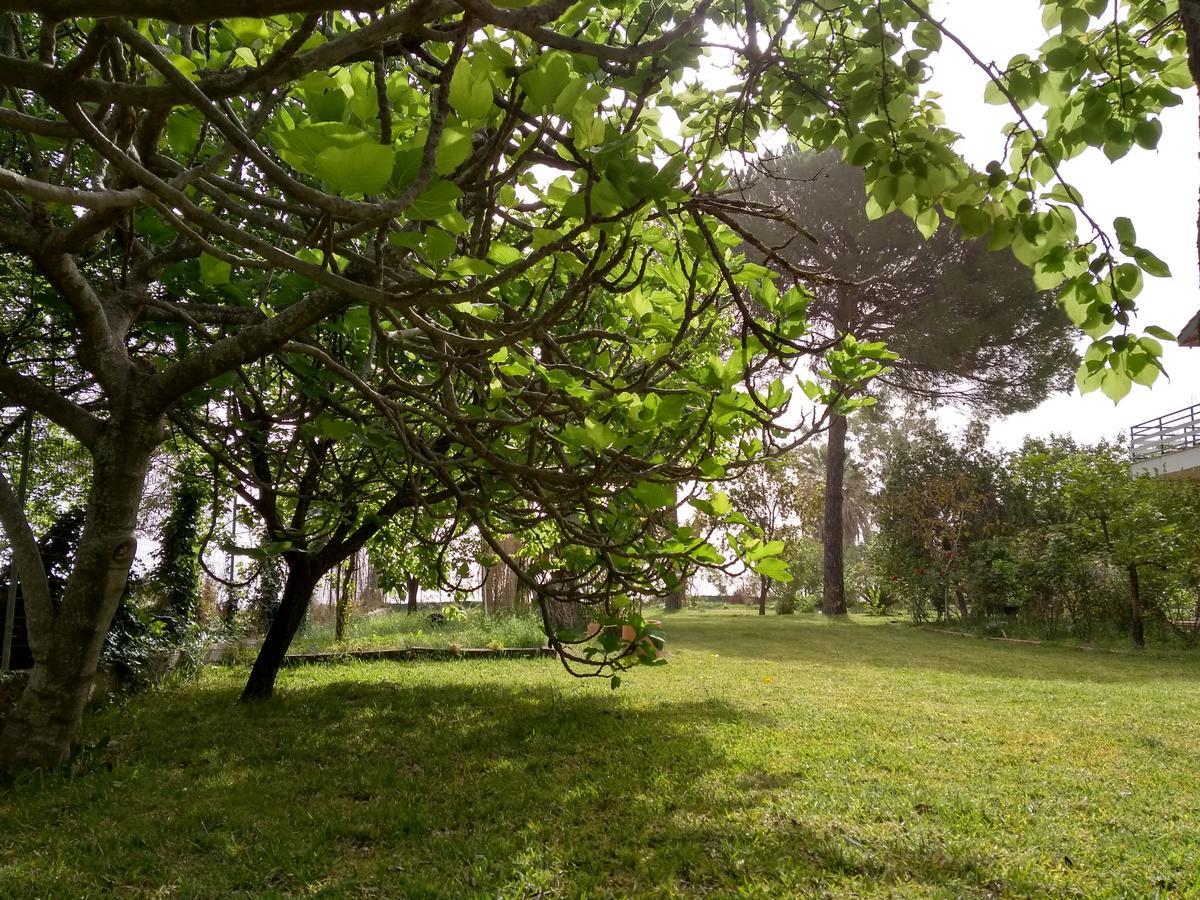 Apartamento Palmyra Beachfront *