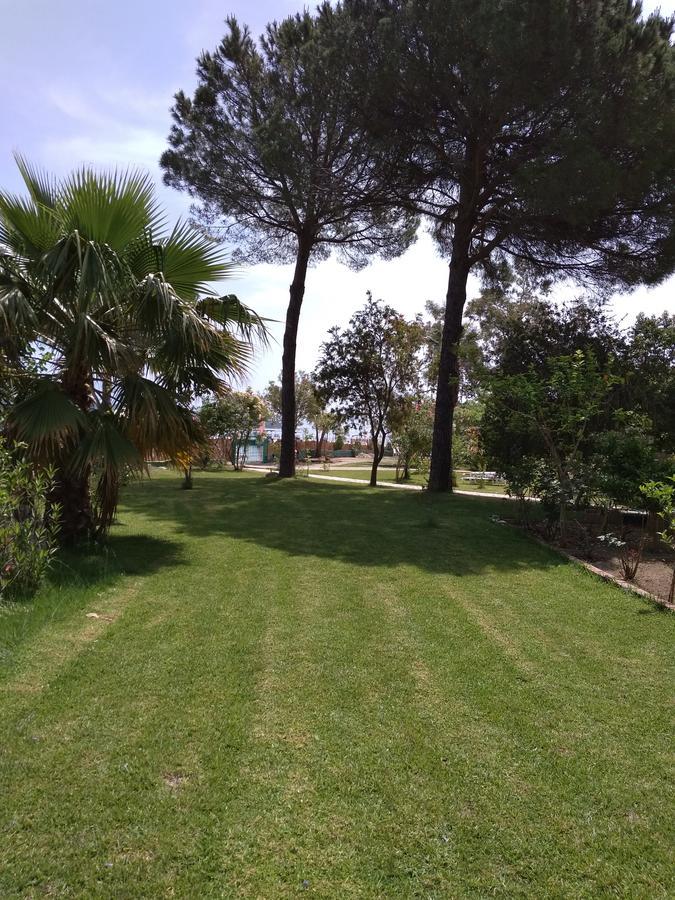Palmyra Beachfront